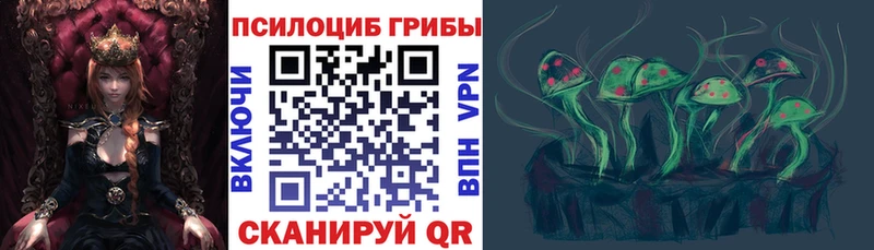 сколько стоит  Валуйки  Псилоцибиновые грибы ЛСД 